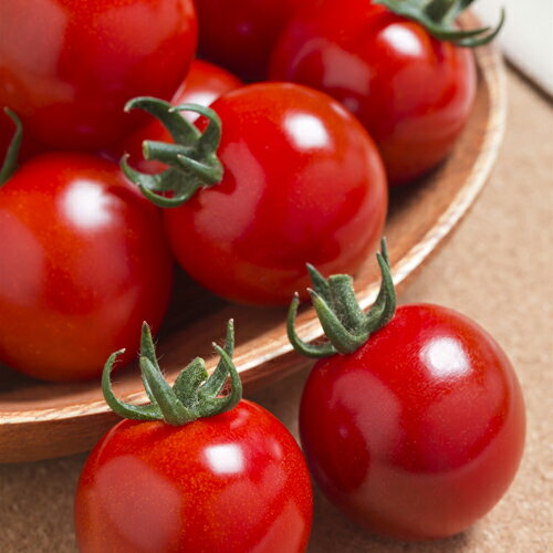 サマー千果 1000粒 トマト とまと 蕃茄【タキイ 種 たね タネ】【通常5倍 5のつく日はポイント10倍】