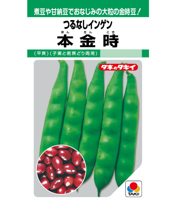 本金時菜豆 1L さやえんどう サヤエンドウ 莢豌豆【タキイ 種 たね タネ】【通常5倍 5のつく日はポイン..