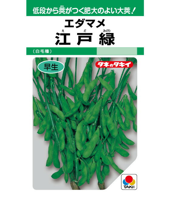 江戸緑枝豆 1L 枝豆 えだまめ エダマメ【タキイ 種 たね タネ】【通常5倍 5のつく...