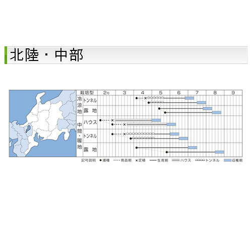 江戸緑枝豆 1L 枝豆 えだまめ エダマメ【タキイ 種 たね タネ】【通常5倍 5のつく...