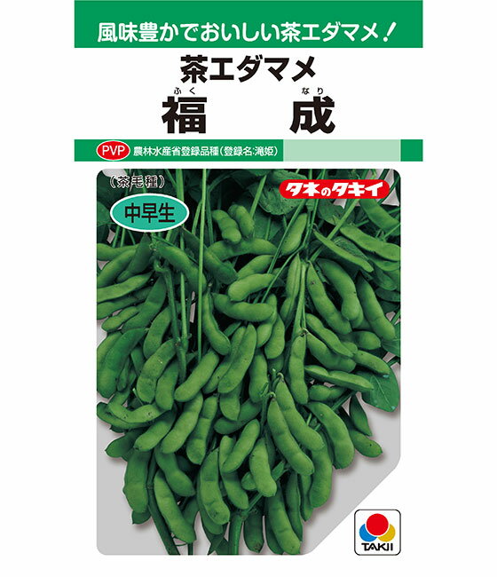 福成枝豆 1L 枝豆 えだまめ エダマメ【タキイ 種 たね タネ】【通常5倍 5のつく日はポイント10倍】