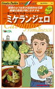 ロマネスコ ミケランジェロ 1000粒(Lコート) グストイタリア ダイヤ交配 【トキタ 種 たね タネ】【通常5倍 5のつく日はポイント10倍】