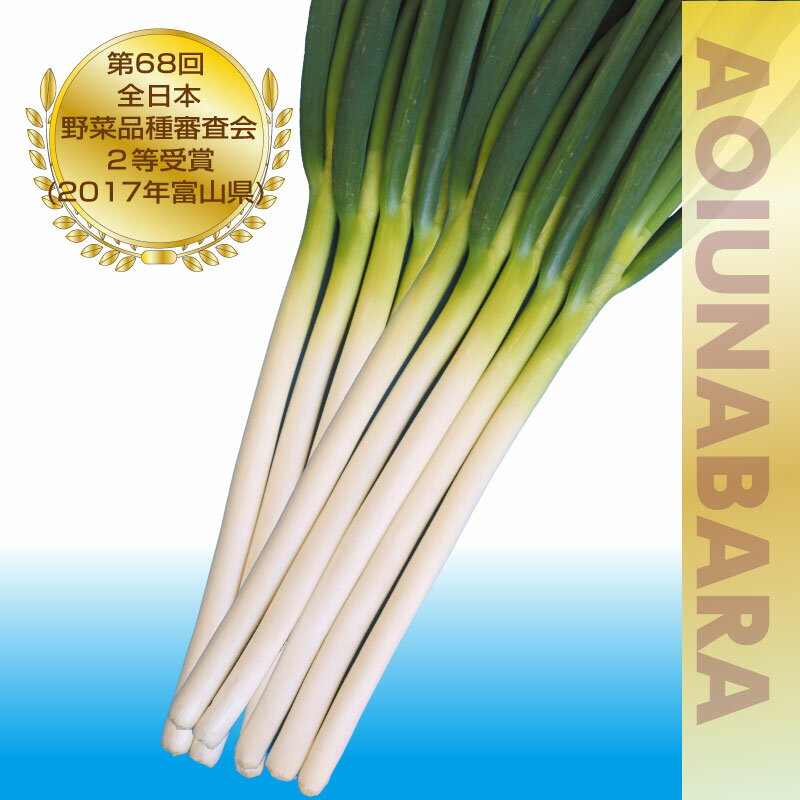 楽天市場】大地の響き ネギの通販