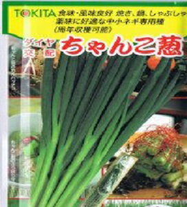 ちゃんこ葱2 2dl 葱 ネギ ねぎ ダイヤ交配 【トキタ 種 たね タネ】【通常5倍 5のつく日はポイント10倍】