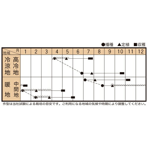 �祫��ե�����80 L������1000γ ����ե� �����ȥ����ꥢ �ڥȥ��� �� ���� ���ۡ͡��̾�5�� 5�ΤĤ����ϥݥ����10�ܡ�