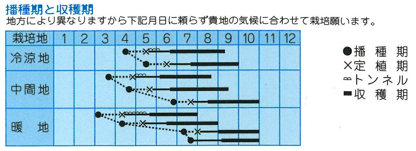 青力二号 20ml 胡瓜 きゅうり キュウリ 【タカヤマシード 種 たね タネ 】【通常5...