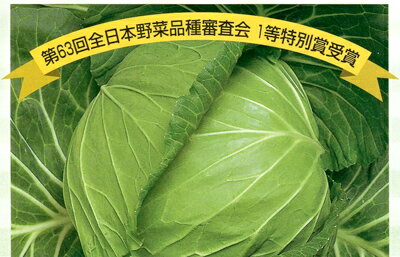 祝園 ペレット5000粒 キャベツ【渡辺採種場 種 たね タネ 】【通常5倍 5のつく日はポイント10倍】