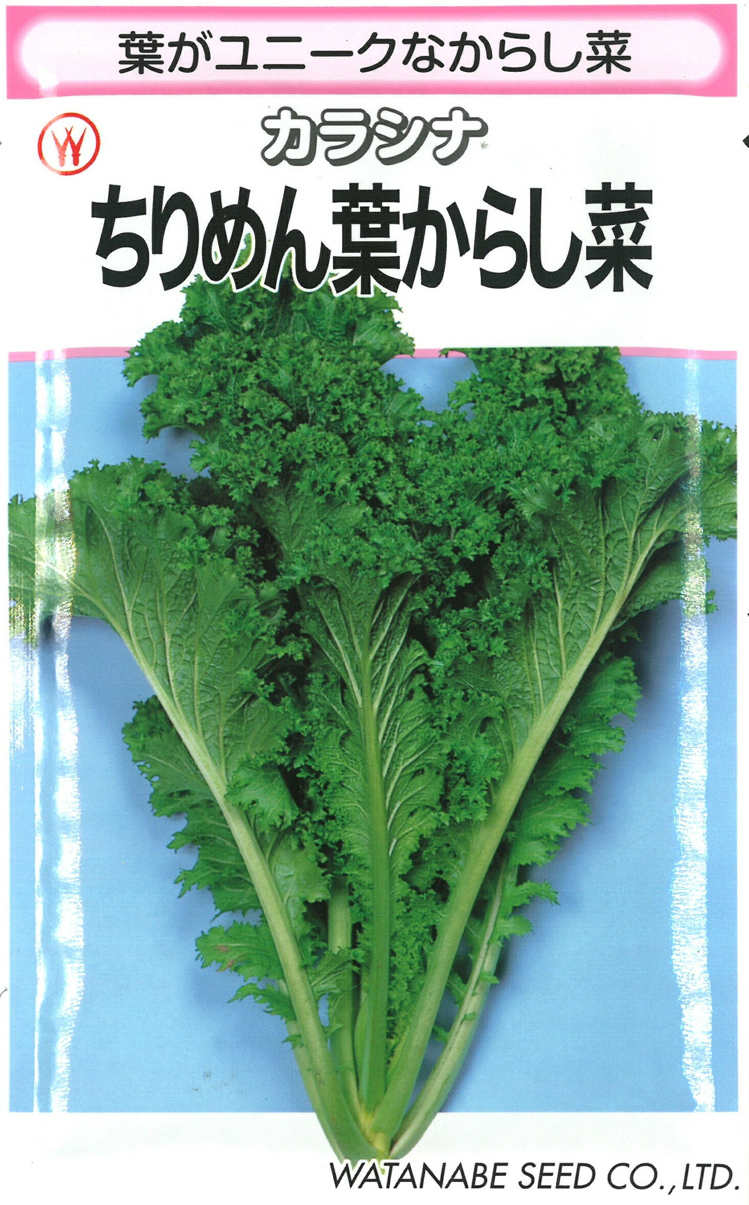 樂天商城 - ちりめん葉からし菜 1dl からし菜 カラシナ からしな【渡辺採種場 種 たね タネ 】【通常5倍 5のつく日はポイント10倍】