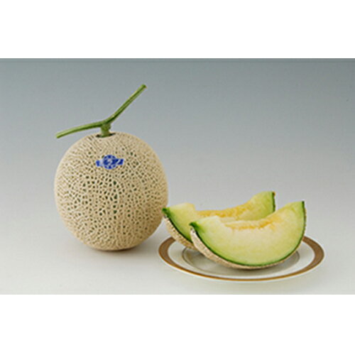 ミラノ秋冬1 100粒 めろん メロン 舐瓜 ヤエ交配 【八江農芸 種 たね タネ】【通常5倍 5のつく日はポイント10倍対象外商品ポイント3倍固定商品】