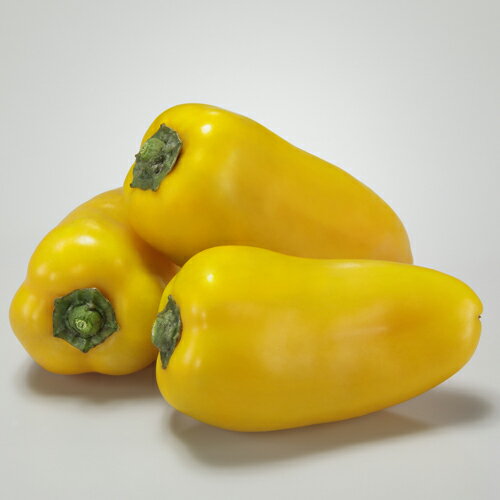 パプ丸ネオ イエロー 100粒 ピーマン パプリカ カラーピーマン 【通常5倍 5のつく日はポイント10