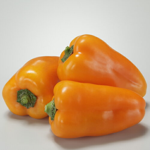 パプ丸ネオ オレンジ 100粒 ピーマン パプリカ カラーピーマン 【通常5倍 5のつく日はポイント10