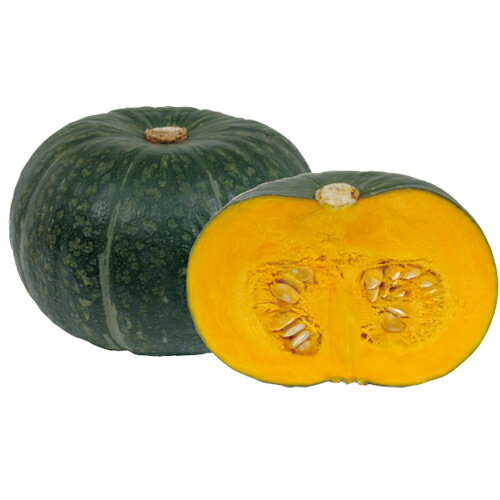 �ڤۤ��� �ե���ॳ����500γ � ���ܥ��� ���ܤ��� ��������� �� ���� ���� �ۡ��̾�5�� 5�ΤĤ����ϥݥ����10���оݳ����ʥݥ����3�ܸ��꾦�ʡ�