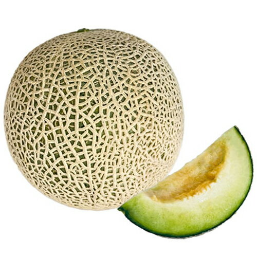 クレセント 100粒 めろん メロン 【横浜植木 種 たね タネ 】【通常5倍 5のつく日はポイント10倍】