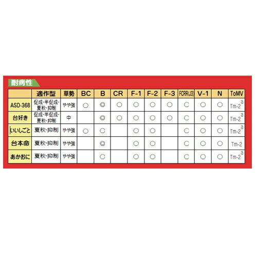 あかおに 1000粒 トマト台木 トマトダイギ とまとだいぎ【朝日アグリア 種 たね タネ 】【通常5倍 5のつく日はポイント10倍対象外商品ポイント3倍固定商品】