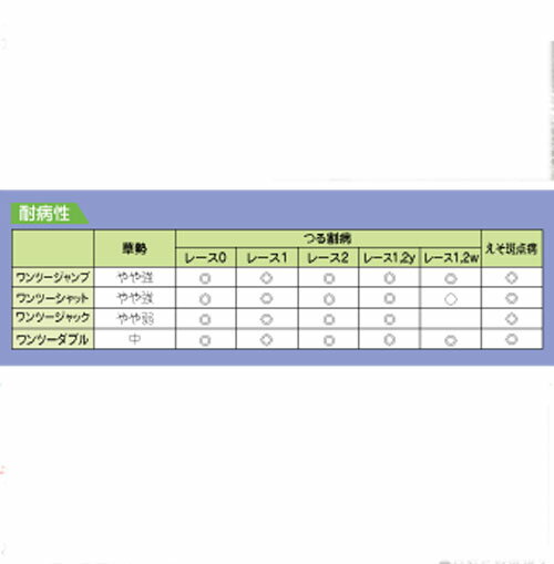 ワンツーダブル 100粒 メロン台木 メロンダイギ めろんだいぎ【朝日アグリア 種 たね タネ 】【通常5倍 5のつく日はポイント10倍対象外商品ポイント3倍固定商品】
