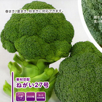 Rakuten - ねがい27号 2500粒 ブロッコリー【朝日アグリア 種 たね タネ 】【通常5倍 5のつく日はポイント10倍対象外商品ポイント3倍固定商品】