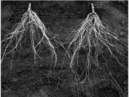 ����Ф뺬-���ꥹ ������1000γ ���� ������ ������ 1000γ �ȥޥ����� �������� �ڰ������� �� ���� ���� �ۡ��̾�5�� 5�ΤĤ����ϥݥ����10...