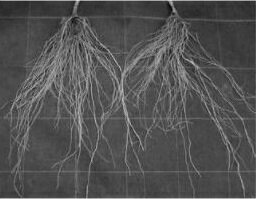 ���ѥ�����K�� ��������γ ���� ������ ������ ��������γ �ȥޥ����� �ȥޥȥ����� �ȤޤȤ����� �������� �ڰ������� �� ���� ���� �ۡ��̾�5�� 5�Τ�...