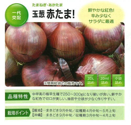 樂天商城 - 赤たま! 20ml 玉ねぎ たまねぎ 玉葱 タマネギ【フタバ 種 たね タネ】【通常5倍 5のつく日はポイント10倍対象外商品ポイント3倍固定商品】