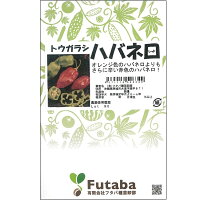 ハバネロ(レッド) 1000粒 唐辛子 とうがらし トウガラシ【フタバ 種 たね タネ】【通常5倍 5のつく日はポイント10倍対象外商品ポイント3倍固定商品】