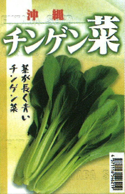 沖縄長茎チンゲン菜 1l 青梗菜 チンゲン菜 チンゲンサイ ちんげんさい【フタバ 種 ...