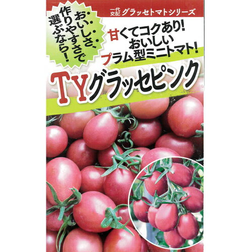 TYグラッセピンク 1000粒 トマト とまと 蕃茄【フタバ 種 たね タネ】【通常5倍 5のつく日はポイント10倍対象外商品ポイント3倍固定商品】