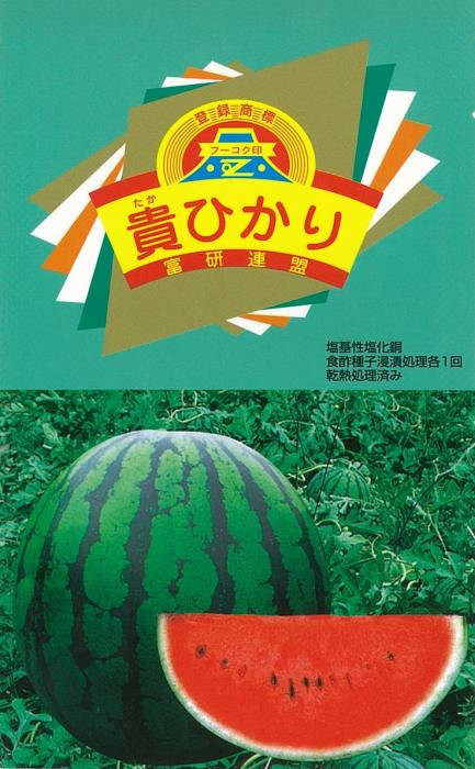 乐天商城 - 貴ひかり 大玉スイカ 200粒 スイカ すいか 西瓜【萩原農場 種 たね タネ】【通常5倍 5のつく日はポイント10倍対象外商品ポイント3倍固定商品】