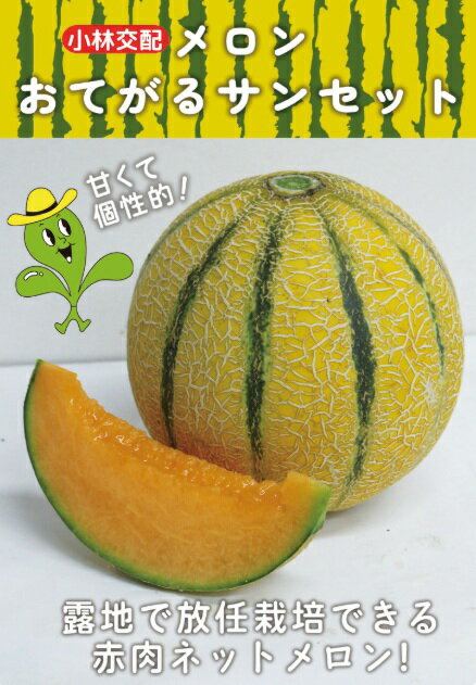 ���Ƥ��륵�󥻥å� 100γ ����� ����� �ӱ��ھ��Ӽ��� �� ���� ���ۡ͡��̾�5�� 5�ΤĤ����ϥݥ����10���оݳ����ʥݥ����3�ܸ��꾦�ʡ�