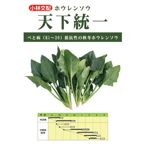 Other - 天下統一 M3万粒 法蓮草 ホウレンソウ ほうれんそう【小林種苗 種 たね タネ】【通常5倍 5のつく日はポイント10倍対象外商品ポイント3倍固定商品】