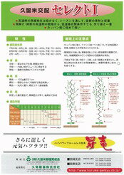 セレクト1 350粒 胡瓜 キュウリ きゅうり【久留米原種育成会 種 たね タネ】【通常...