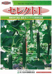 セレクト1 100粒 胡瓜 キュウリ きゅうり【久留米原種育成会 種 たね タネ】【通常...