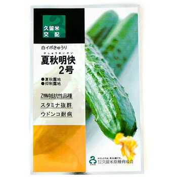 夏秋明快2号 350粒 胡瓜 キュウリ きゅうり【久留米原種育成会 種 たね タネ】【通常5倍 5のつく日はポイント10倍】