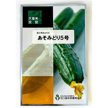 あそみどり5号 350粒 胡瓜 キュウリ きゅうり【久留米原種育成会 種 たね タネ】【通常5倍 5のつく日は..