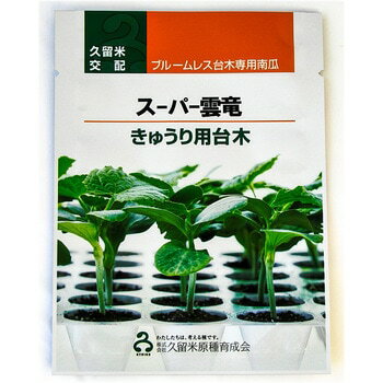 Rakuten - newスーパー雲竜 350粒 台木 ダイギ だいぎ【久留米原種育成会 種 たね タネ】【通常5倍 5のつく日はポイント10倍】