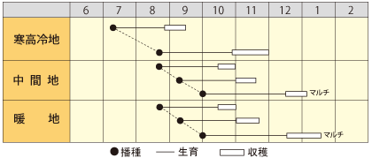 ���ޤ������� 2dl�� �纬 �������� �������� �������� �ڴݼ� �� ���� ���ۡ͡��̾�5�� 5�ΤĤ����ϥݥ����10���оݳ����ʥݥ����3�ܸ��꾦�ʡ�