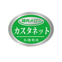 カスタネット 500枚 めろん メロン 舐瓜【丸種 種 たね タネ】【通常5倍 5のつく日はポイント10倍対象外商品ポイント3倍固定商品】