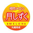 月しずくイエロー 500枚 めろん メロン 舐瓜【丸種 種 たね タネ】【通常5倍 5のつく日はポイント10倍対象外商品ポイント3倍固定商品】