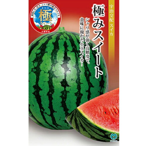 樂天商城 - 極みスイート 200粒 スイカ 西瓜 【丸種 種 たね タネ】【通常5倍 5のつく日はポイント10倍対象外商品ポイント3倍固定商品】