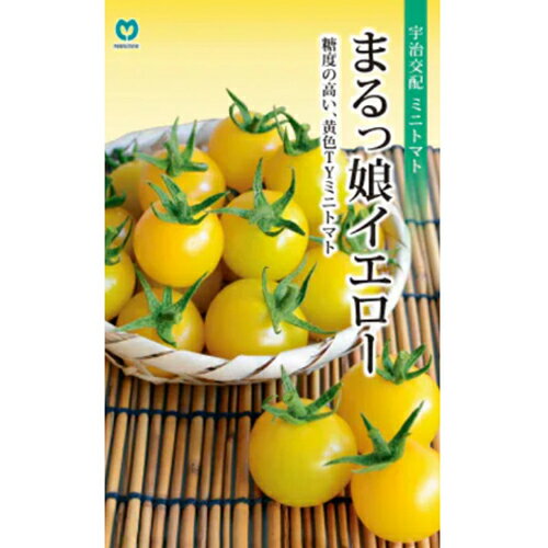 樂天商城 - まるっ娘イエロー 100粒 ミニトマト トマト 【丸種 種 たね タネ】【通常5倍 5のつく日はポイント10倍対象外商品ポイント3倍固定商品】