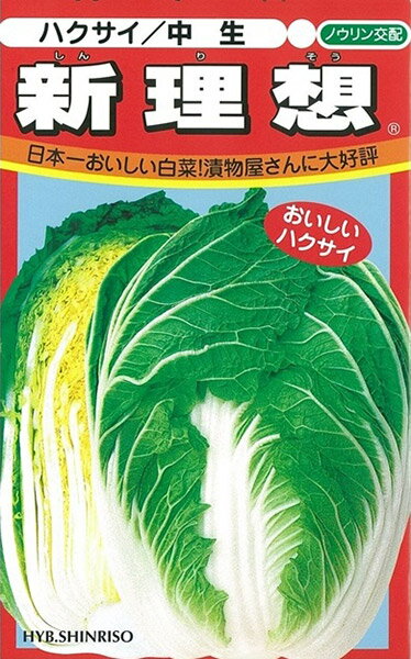 乐天商城 - 新理想 キダネFC 3500粒 白菜 ハクサイ はくさい ノウリン交配 【日本農林社 種 たね タネ 】【通常5倍 5のつく日はポイント10倍】