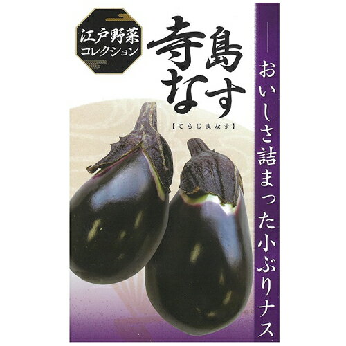 Rakuten - 江戸野菜コレクション 寺島 キダネ 1000粒 ナス なす 茄子【日本農林社 種 たね タネ 】【通常5倍 5のつく日はポイント10倍】