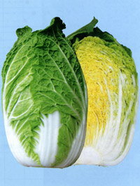 �����ȼ�� �ɽ� L5(5000γ) ��� �ϥ����� �Ϥ����������μ�� �� ���� ���� �ۡ��̾�5�� 5�ΤĤ����ϥݥ����10�ܡ�