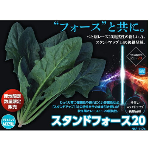 Seeds （Vegetables） - スタンドフォース20 プライマックスL2.5万粒 ほうれんそう 法蓮草 【ナント 種 たね タネ】【通常5倍 5のつく日はポイント10倍】