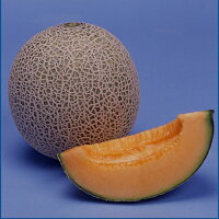 ラブミー5号 100粒 めろん メロン 舐瓜【シード 種 たね タネ 】【通常5倍 5のつく日はポイント10倍】