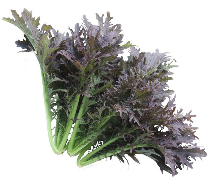 ���۰��� �����֤��餷�� ������ pvp l������1000γ ���餷�� ���饷�� ���餷�ʡڻ��ۼ��� �� ���� ���� �ۡ��̾�5�� 5�ΤĤ����ϥݥ����10�ܡ�