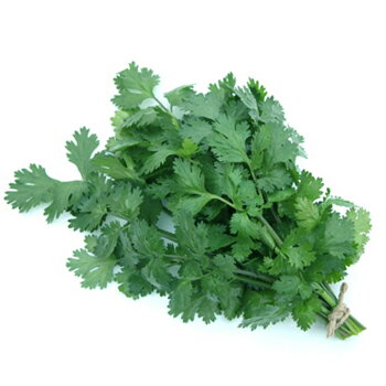 ネーキッド パクチー(コリアンダー) 2500粒 ハーブ【山陽種苗 種 たね タネ 】【通常5倍 5のつく日はポイント10倍】