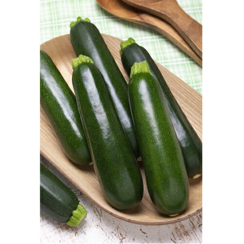 ダイナーEX 500粒 ズッキーニ 【タキイ 種 たね タネ】【通常5倍 5のつく日はポイント10倍】