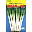 東京冬黒 5000粒(コート) 葱 ネギ ねぎ【トキタ 種 たね タネ】【通常5倍 5のつく日はポイント10倍】