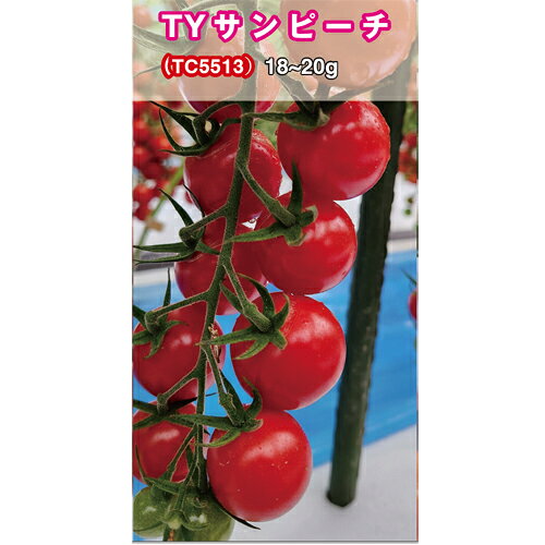 ・適作：全作型（※ TY サンピーチのみ越冬作に限る） ・耐病性：5 品種共通で 黄化葉巻耐病性 （イスラエル型・マイルド型）と ToMV Tm 2a 、葉カビ病に耐病性 ・施肥：作型における基準量で構わない（ TY サンショコラのみ 樹勢が強くなりやすいので注意） ・裂果に強く安心して栽培ができる ・食味は NON TY シリーズと比較して ほぼ同等 メーカー在庫となります為、流動的となります メーカー確認後、すぐにご用意できない等の場合もございます。その際は予約対応となり別途御連絡させていただきます。 申し訳ございませんが、ご了承の程よろしくお願いいたします。 【納期】 見込みで7から12営業日・取り寄せ・予約商品に関しましては、後ほど弊社より連絡させていただきます。 上記期間はあくまで見込みでの計算となります事、ご了承下さいませ。こちらは野菜のタネです