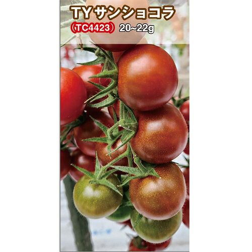 ・適作：全作型（※ TY サンピーチのみ越冬作に限る） ・耐病性：5 品種共通で 黄化葉巻耐病性 （イスラエル型・マイルド型）と ToMV Tm 2a 、葉カビ病に耐病性 ・施肥：作型における基準量で構わない（ TY サンショコラのみ 樹勢が強くなりやすいので注意） ・裂果に強く安心して栽培ができる ・食味は NON TY シリーズと比較して ほぼ同等 メーカー在庫となります為、流動的となります メーカー確認後、すぐにご用意できない等の場合もございます。その際は予約対応となり別途御連絡させていただきます。 申し訳ございませんが、ご了承の程よろしくお願いいたします。 【納期】 見込みで7から12営業日・取り寄せ・予約商品に関しましては、後ほど弊社より連絡させていただきます。 上記期間はあくまで見込みでの計算となります事、ご了承下さいませ。こちらは野菜のタネです